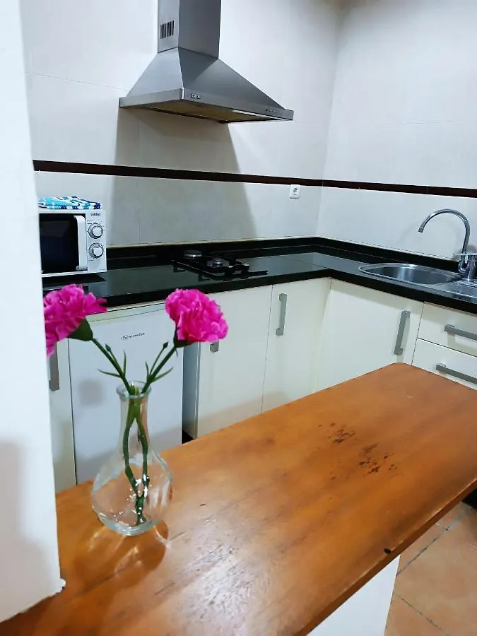 Alcazaba Apartment Granada