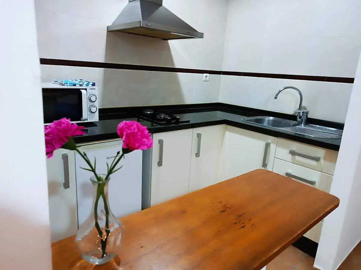 Alcazaba Apartment Granada