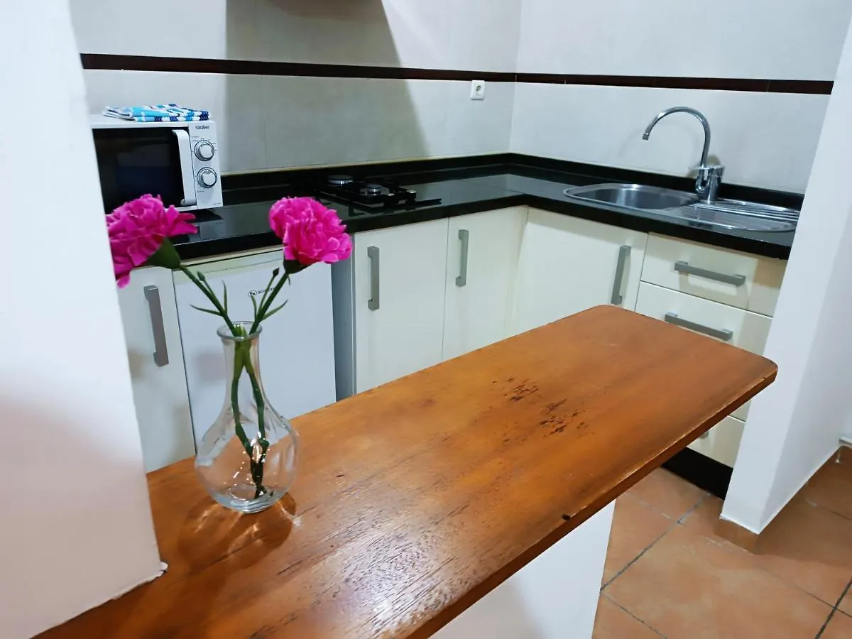 Alcazaba Apartment Granada